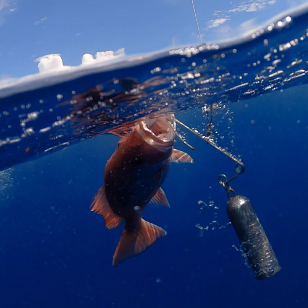 SeaYaLater Release Hook